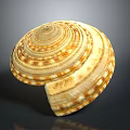 Shell Sculpture with Spiral Pattern Yellow Brown Detailed Texture Layered Design