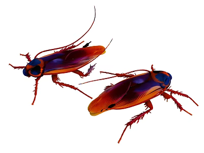 Vibrant Colored Reptile Specimens With Purple Red Tones And Detailed Limbs 3d model