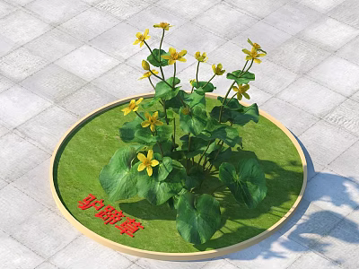 Marsh Marigold with Yellow Flowers and Green Leaves in Circular Grassy Patch 3d model
