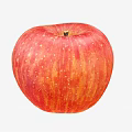 Modern Apple 3d model
