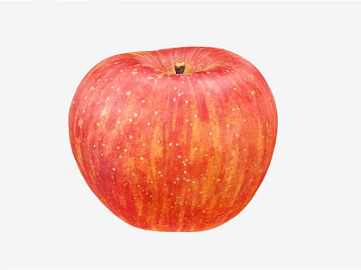Red And Yellow Striped Fresh Apple With White Specks On Surface 3d model