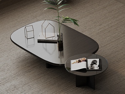 Modern coffee table model