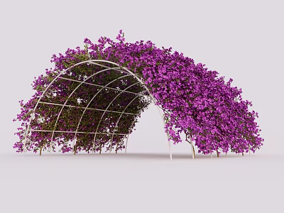 Arched Garden Pergola With White Metal Frame Covered In Purple Flowers And Green Leaves 3d model