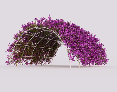 Arched Garden Pergola With White Metal Frame Covered In Purple Flowers And Green Leaves 3d model
