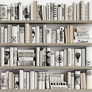 Modern Books Black and White Books 3d model