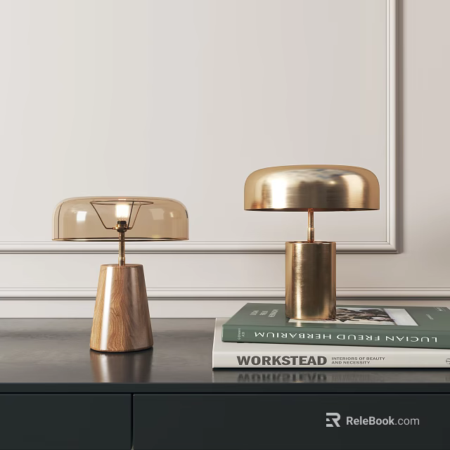 Contemporary Table Lamps with Wooden and Metal Bases Transparent and Golden Shades on Books 3d model 