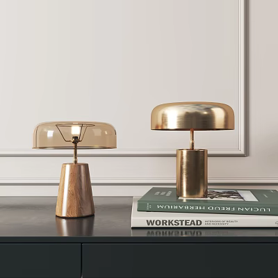 Contemporary Table Lamps with Wooden and Metal Bases Transparent and Golden Shades on Books 3d model