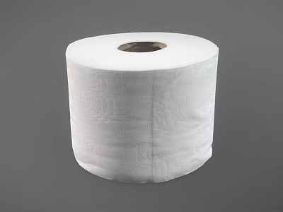 Essential White Household Toilet Paper Roll With Soft Textured Surface For Daily Use 3d model
