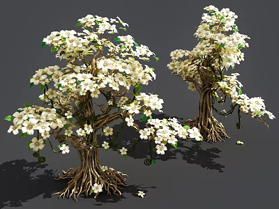 Ornamental Arbor with White Flowers Exposed Roots and Detailed Trunk 3d model