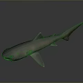 Purple Shark 3D Model with Realistic Appearance on Gradient Gray Background