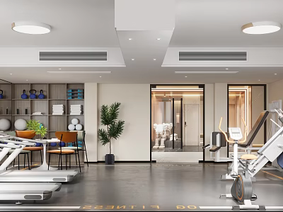 Modern Gym Interior With Fitness Equipment And Greenery 3d model