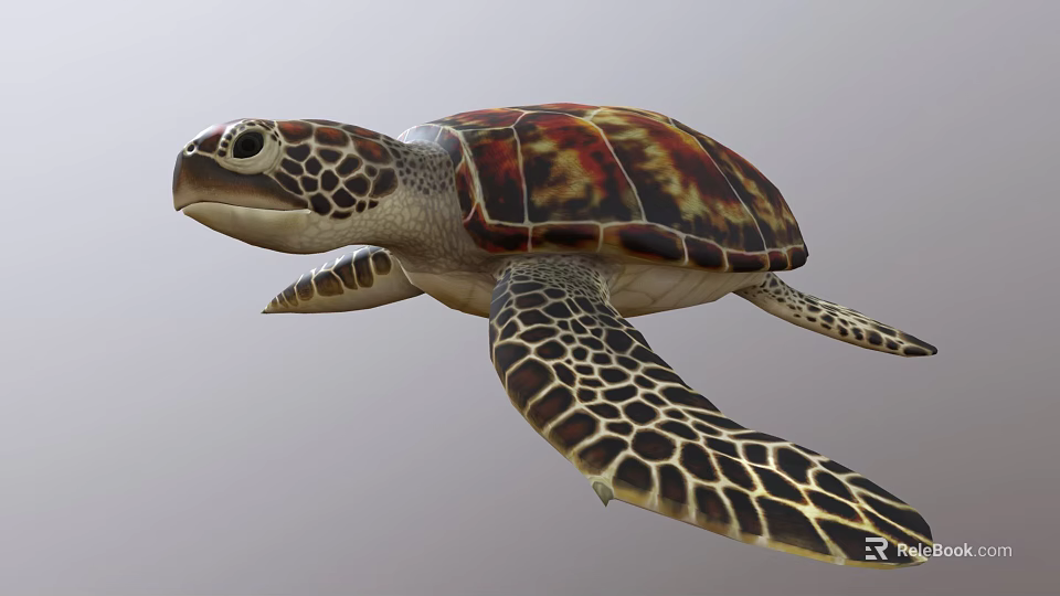 Colorful Sea Turtle With Red Brown Carapace And Spotted Flippers 3d model 
