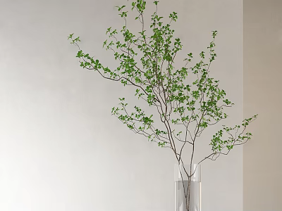 Transparent Glass Vase With Green Leaf Branches Against Light Colored Wall Background 3d model