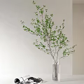 Transparent Glass Vase With Green Leaf Branches Against Light Colored Wall Background