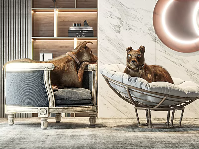 Two Dogs Resting On Vintage Armchair And Modern Round Chair With Wooden Shelf Background 3d model