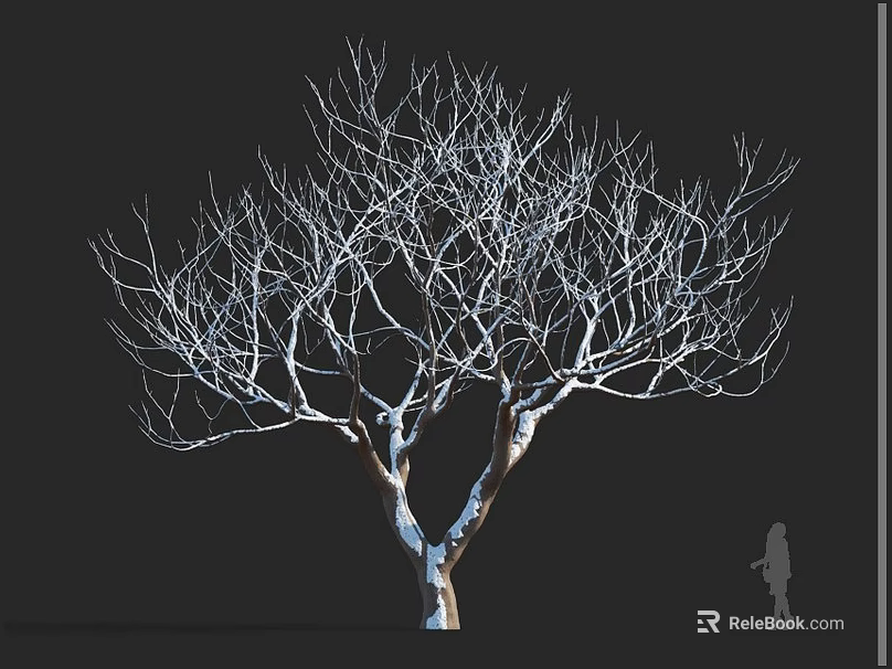 Tall Arbor Tree With Bare Branches Against Dark Background And Human Silhouette 3d model 