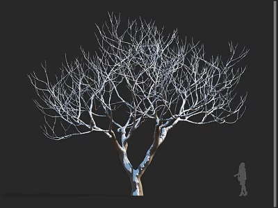 Tall Arbor Tree With Bare Branches Against Dark Background And Human Silhouette 3d model