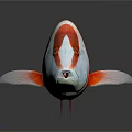 Vibrant Red And White Striped Fish With Colorful Fins On Dark Background