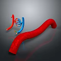 Medical Device Vascular Intervention Simulation Model With Red And Blue Tubular Structures 3d model