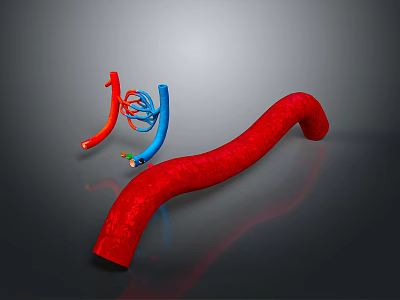 Medical Device Vascular Intervention Simulation Model With Red And Blue Tubular Structures 3d model