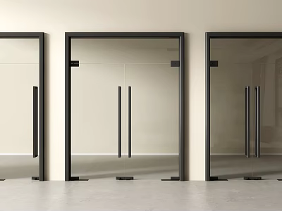 Modern Double Doors with Glass Panels Black Frames White Wall Gray Floor Interior 3d model