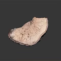 Wood Stone Tree Stump Decorative Piece with Intricate Natural Surface Texture