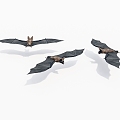 Flying Bats 3d model