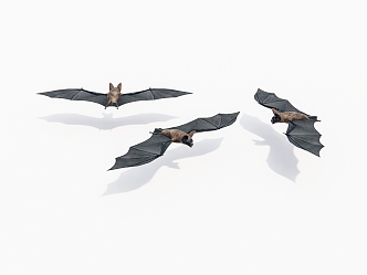 Flying Bats 3d model