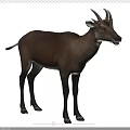Ma's Wu Horn Deer Huo's 3d model