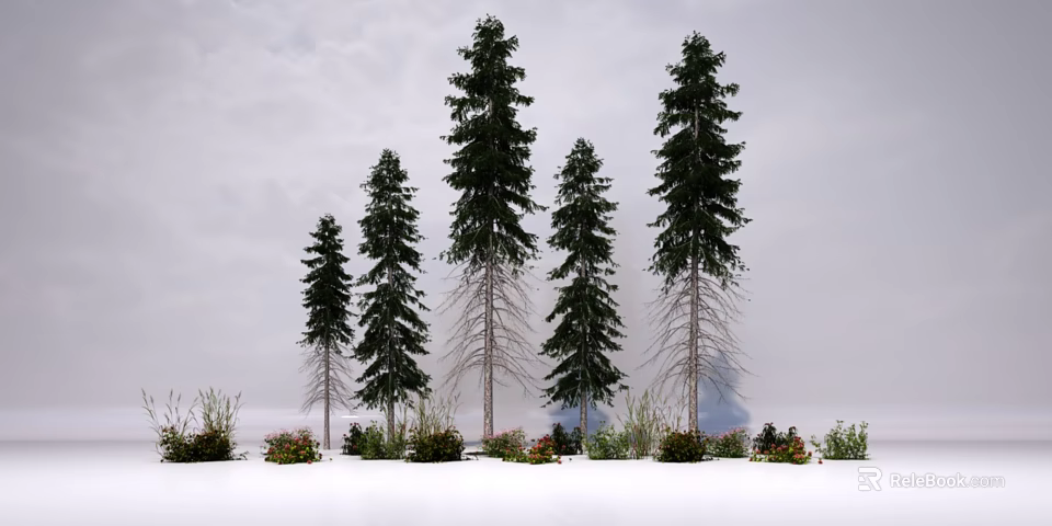 Tall Evergreen Trees in Snowy Scene With Shrubs and Cloudy Sky 3d model 