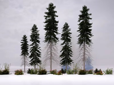 Tall Evergreen Trees in Snowy Scene With Shrubs and Cloudy Sky 3d model