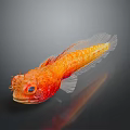 Orange Aquatic Fish with Red Spots Large Eyes Whiskers Slender Body Reflection on Dark Background