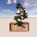 Bonsai Tree With Curved Trunk On Wooden Stand Under Blue Sky And White Clouds