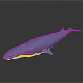 Blue Whale 3D Model With Smooth Surface On Gray Background