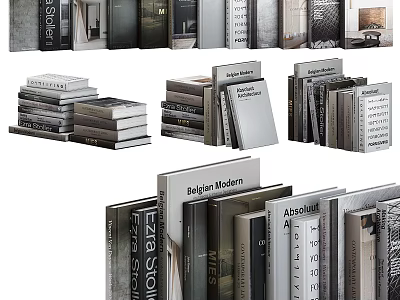 Stylish Modern Books And Magazines Collection With Stacked Designs Various Covers And Neutral Colors 3d model