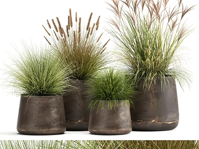 Modern Decorative Ornament Set With Brown Ceramic Pots And Green Grasses 3d model