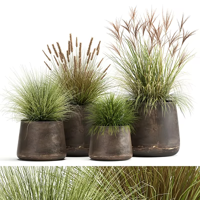 Modern Decorative Ornament Set With Brown Ceramic Pots And Green Grasses 3d model