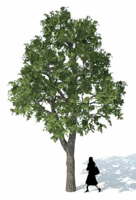 Vibrant Green Shrub With Dense Foliage And Sturdy Trunk For Outdoor Landscaping 3d model 