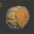 Partially Peeled Orange with Orange Flesh and White Pith on Dark Smooth Surface with Reflection