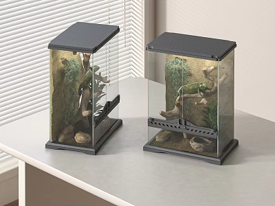 Two Glass Reptile Terrariums On Table Near Window 3d model Two Glass Reptile Terrariums On Table Near Window 3d model