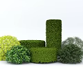 Rounded and Cylindrical Green Yellow Bushes for Garden Landscaping Design