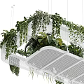 Modern Indoor Hanging Basket Plants With Lush Greenery And Metal Mesh Design For Home Decor