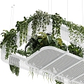 Modern hanging basket hanging plant 3d model