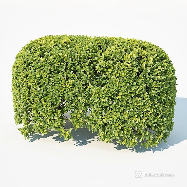 Lush Green Well Trimmed Shrub With Dense Foliage And Vibrant Leaves 3d model 