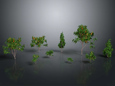 Various Types of Trees With Fruits Different Sizes Shapes Gray Background Reflective Ground 3d model