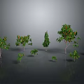 Various Types of Trees With Fruits Different Sizes Shapes Gray Background Reflective Ground