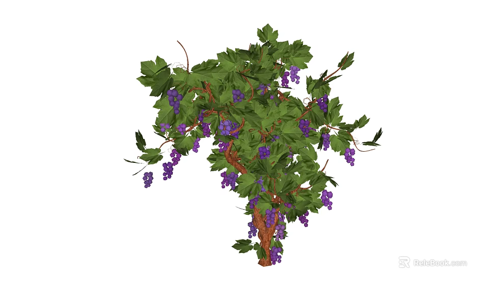 Lush Vibrant Green Leaf Arbor With Ripe Purple Fruits On Branches 3d model 