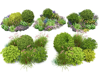 Diverse Garden Shrubs With Greenery Herbs And Colorful Flowers In Clusters 3d model