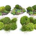 Diverse Garden Shrubs With Greenery Herbs And Colorful Flowers In Clusters