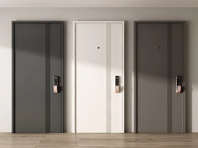 Modern Security Doors in Black White Grey with Handle and Lock Design 3d model